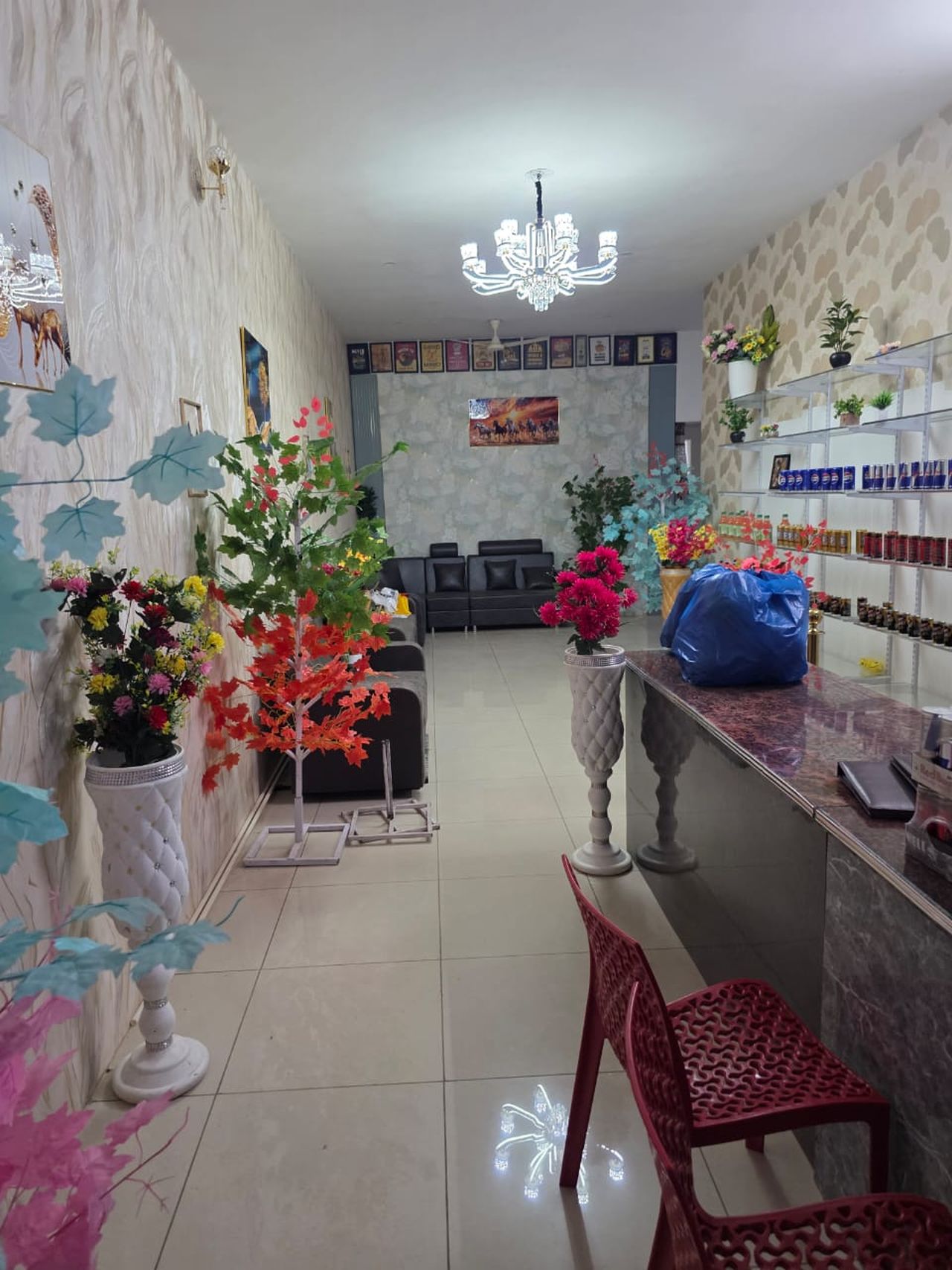 Gallery Image 15